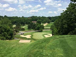 Golf Course, Turf and Field Mixes